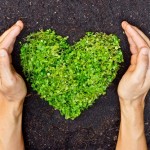 Should your business consider volunteer programs?
